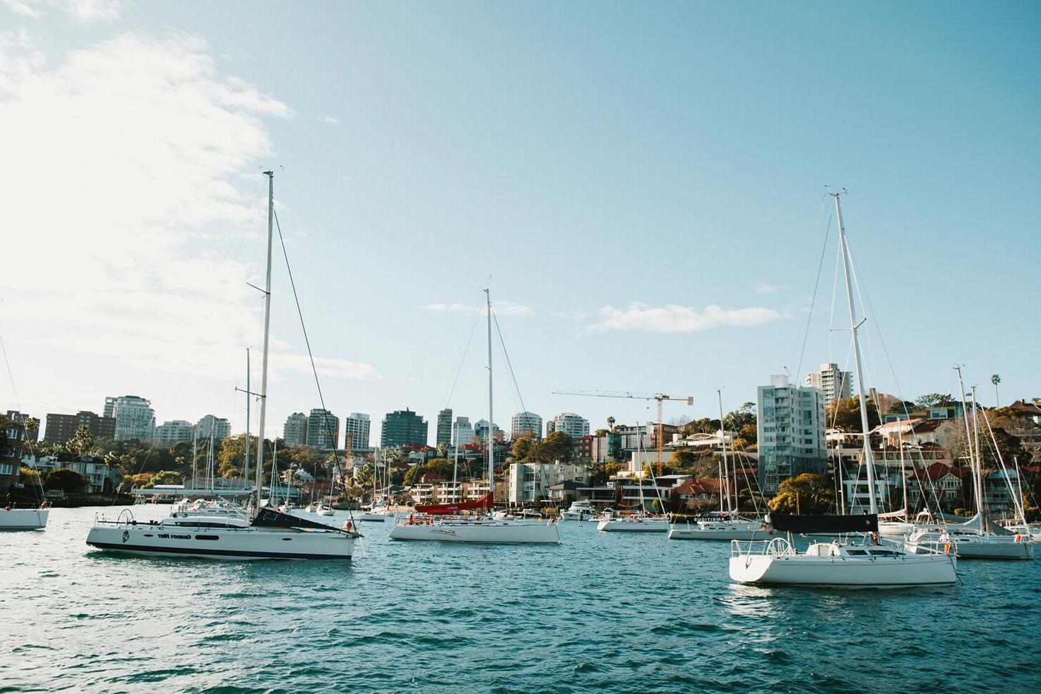 Sydney Harbor Sailboats